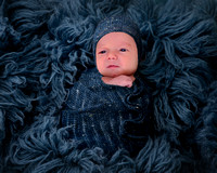 Newborn Digital Backdrop - Lauree Jane Photography, LLC